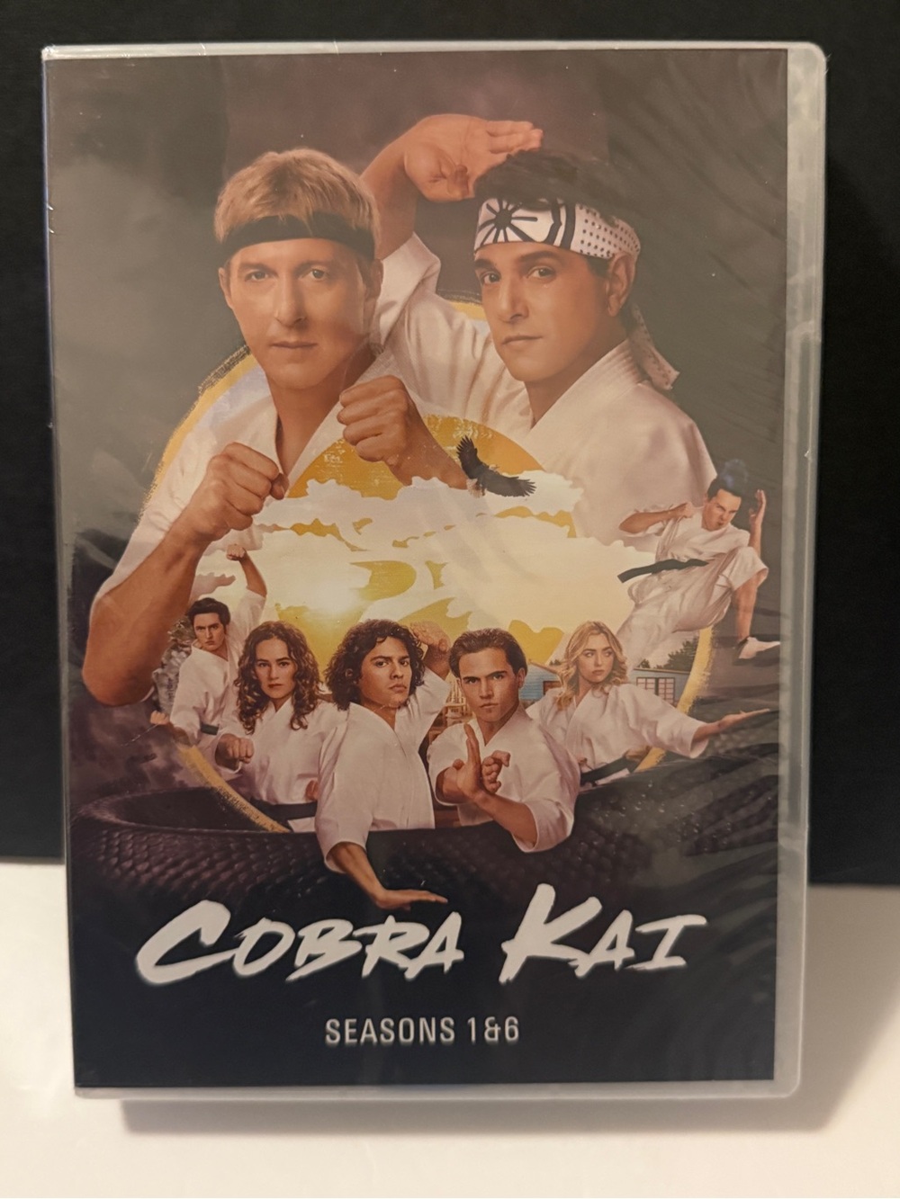 Cobra Kai Seasons 1 & 6 DVD Set NEW Factory Sealed Ralph Macchio Sony 2024
